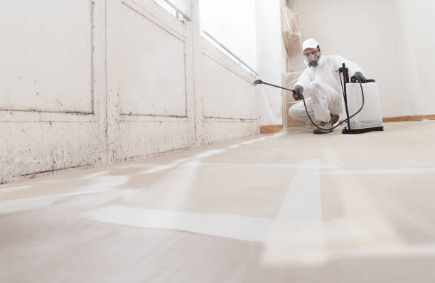 Post-remediation clearance in Tenafly